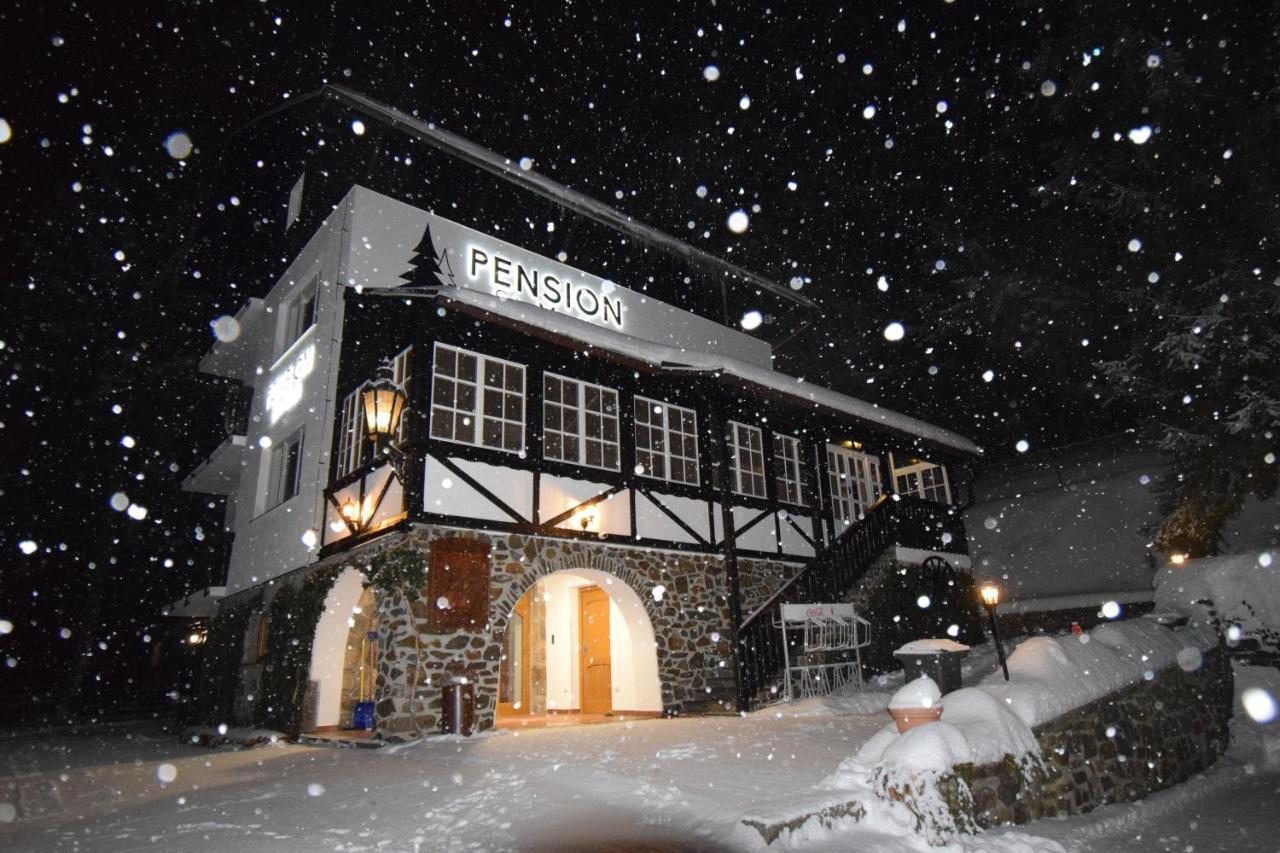 Pension St. Moritz Železná Ruda Exteriör bild